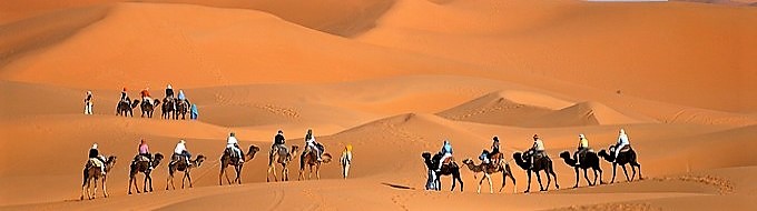 dunes dans le désert du sahara